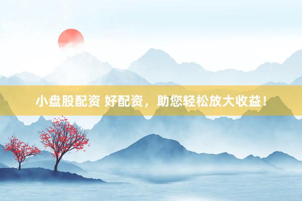 小盘股配资 好配资，助您轻松放大收益！