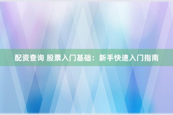配资查询 股票入门基础：新手快速入门指南