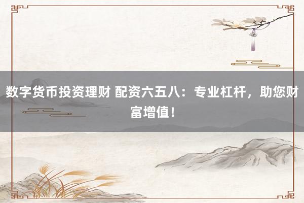 数字货币投资理财 配资六五八：专业杠杆，助您财富增值！