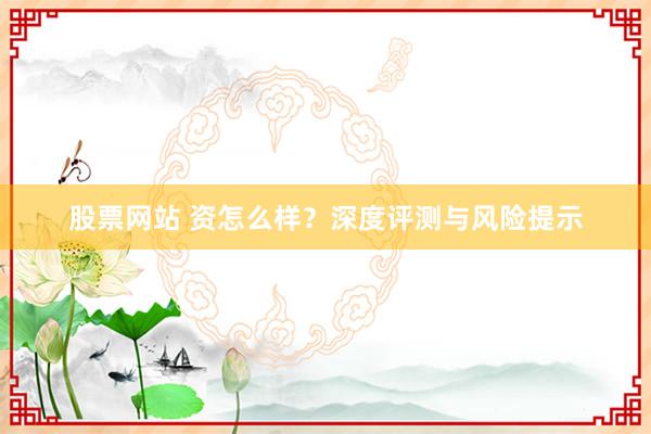 股票网站 资怎么样？深度评测与风险提示
