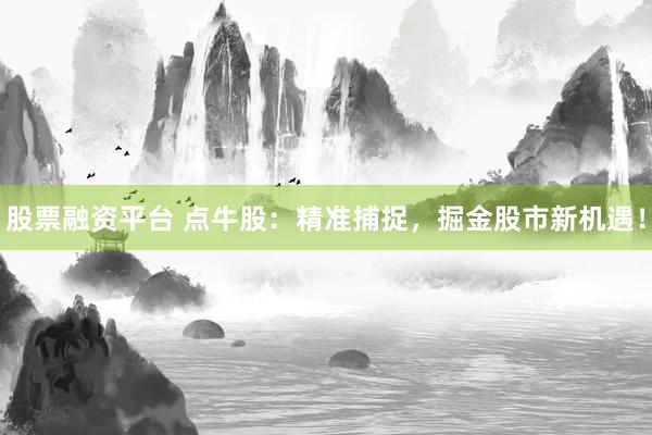 股票融资平台 点牛股:精准捕捉,掘金股市新机遇!