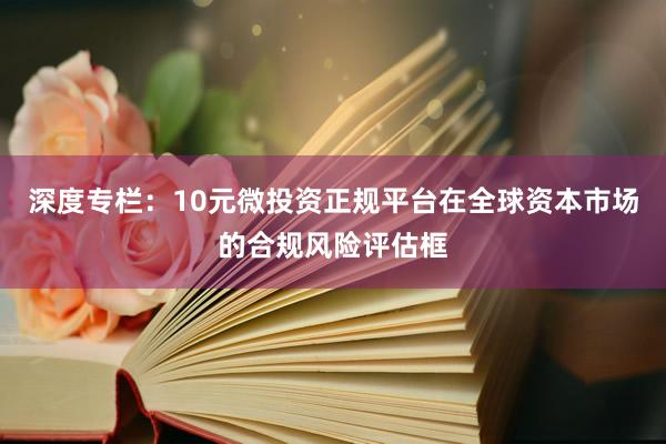 深度专栏：10元微投资正规平台在全球资本市场的合规风险评估框