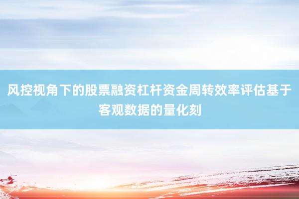 风控视角下的股票融资杠杆资金周转效率评估基于客观数据的量化刻