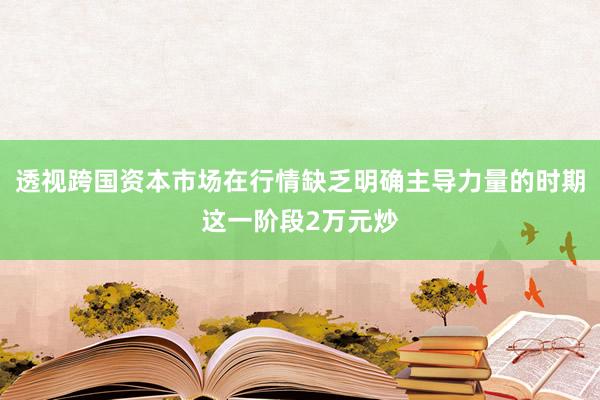 透视跨国资本市场在行情缺乏明确主导力量的时期这一阶段2万元炒