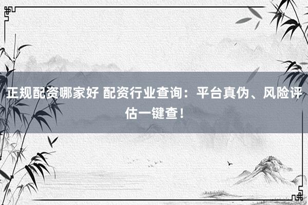 正规配资哪家好 配资行业查询：平台真伪、风险评估一键查！