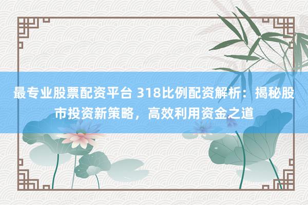 最专业股票配资平台 318比例配资解析:揭秘股市投资新策略,高效利用资金之道