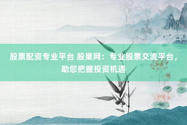 股票配资专业平台 股巢网：专业股票交流平台，助您把握投资机遇