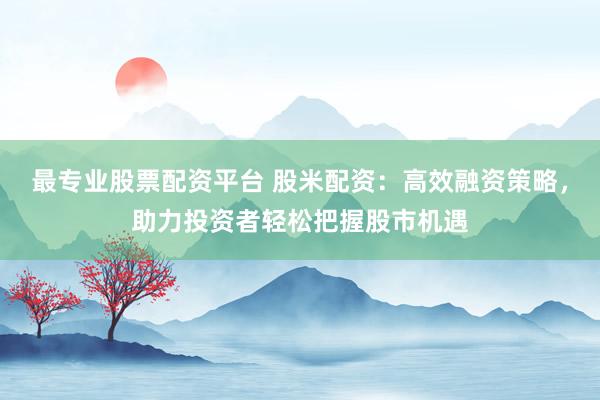 最专业股票配资平台 股米配资：高效融资策略，助力投资者轻松把握股市机遇